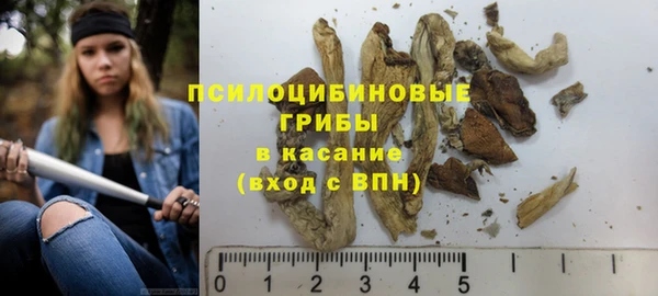 МДПВ Бородино