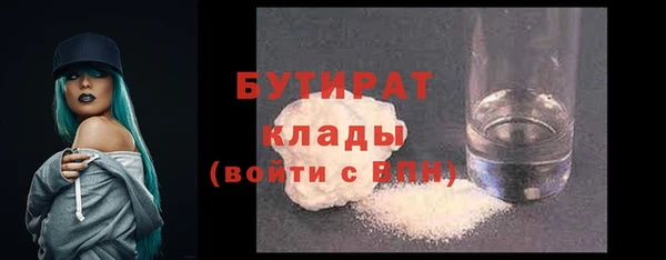 МДПВ Бородино