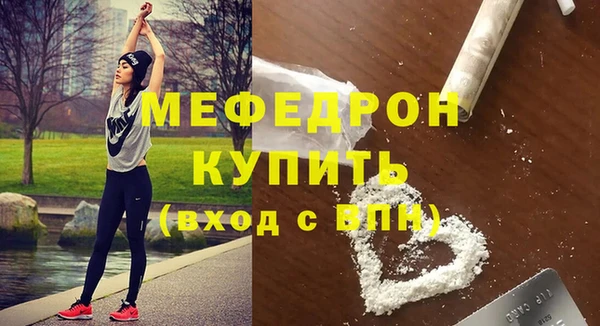МДПВ Бородино