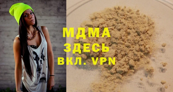 МДПВ Бородино