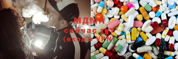 МДПВ Бородино