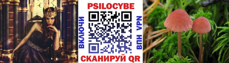 Галлюциногенные грибы Cubensis  где купить наркоту  Самара 
